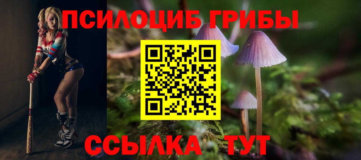 купить наркотик  Вход с VPN  Назарово  Псилоцибиновые грибы MAGIC MUSHROOMS  Галлюциногенные грибы прущие грибы 